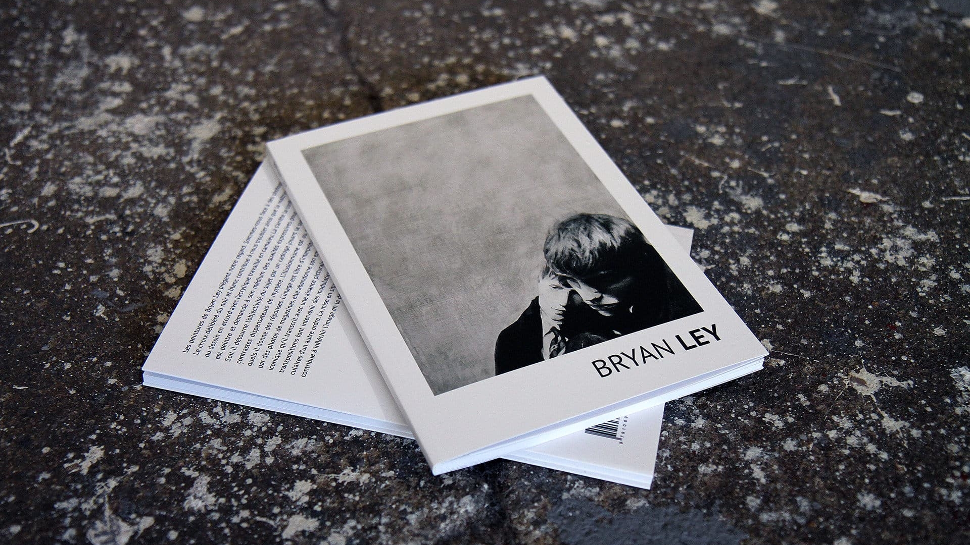 Conception d’un livre 48 pages par l'agence Bad Monkey pour Bryan Ley.