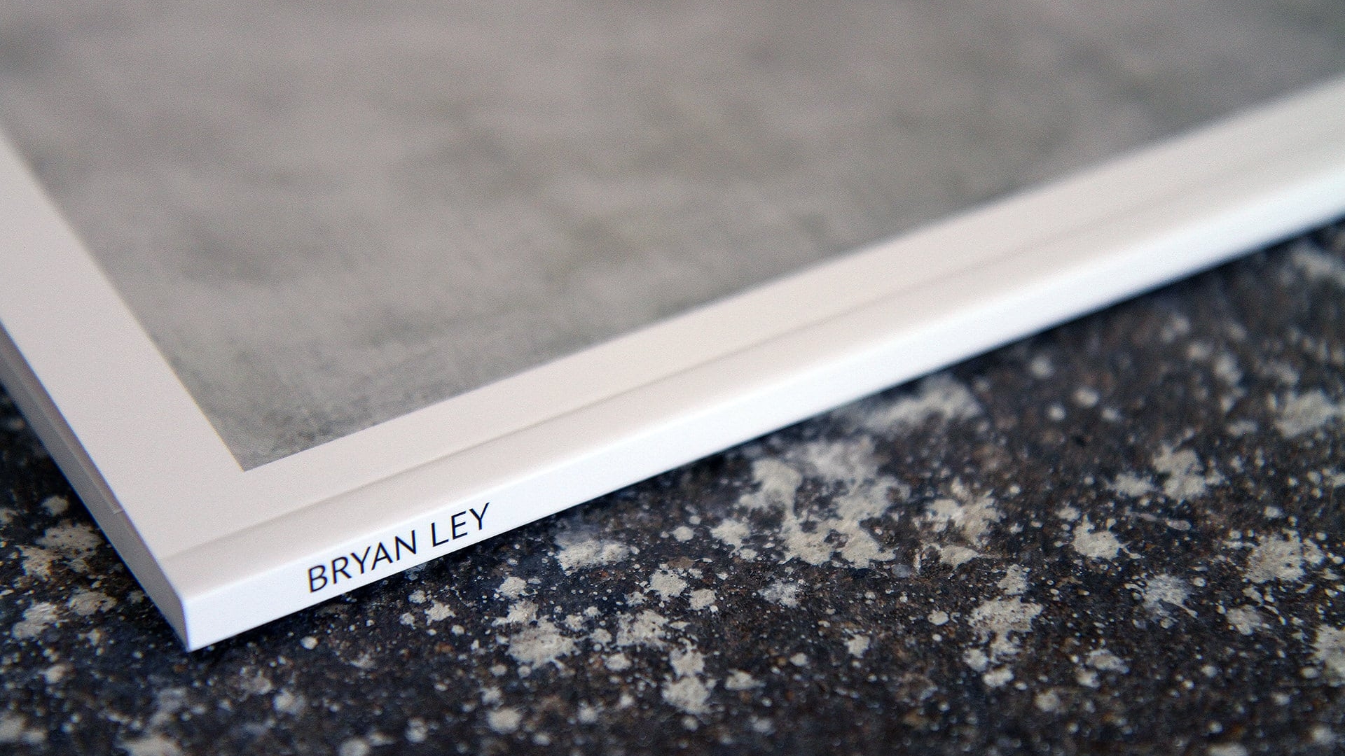 Conception d’un livre 48 pages par l'agence Bad Monkey pour Bryan Ley.