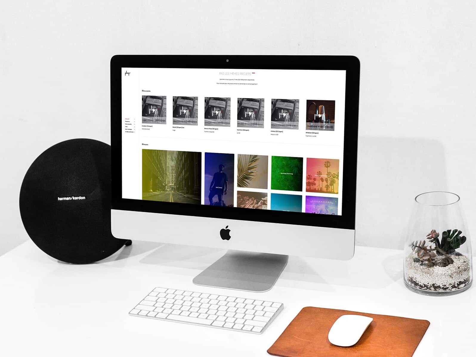 Création plateforme web PLMP