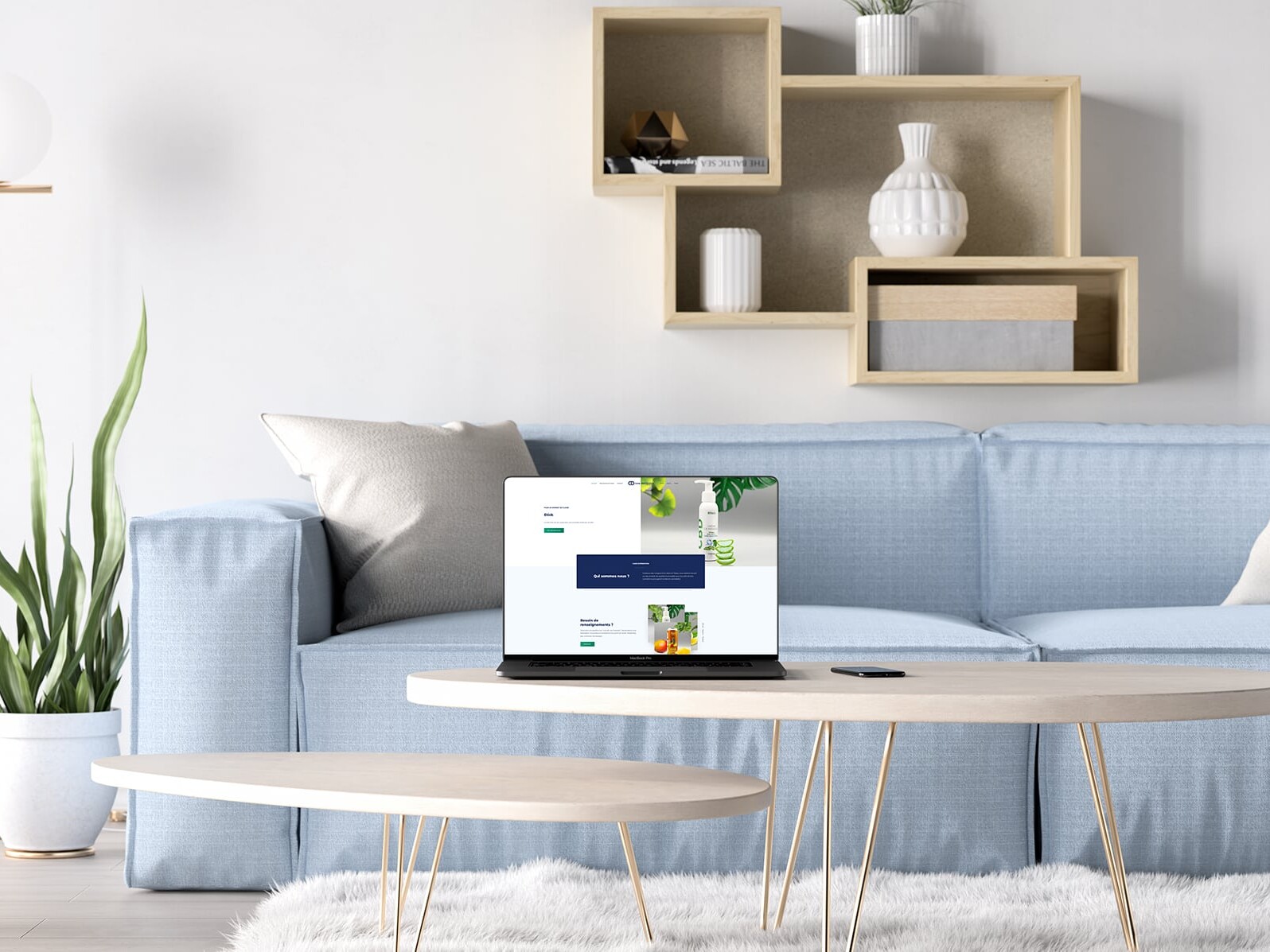 Création du site internet Cane Distribution